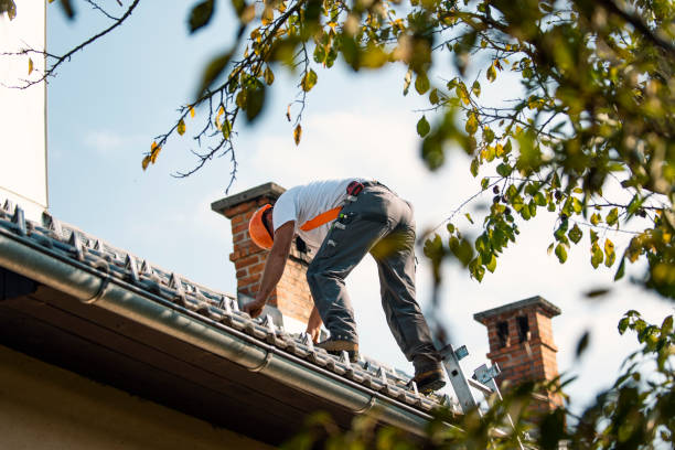 Best Tile Roofing Contractor  in Saginaw, MI